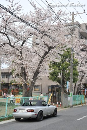 ���ƃ��[�h�X�^�[