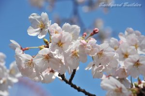 ��@�����ՊC����