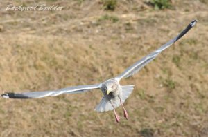 �Z�O���K����