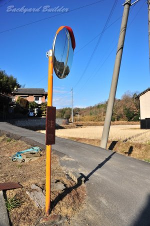 �N����̂̃J�[�u�~���[