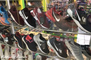 �V��i�C�L�̐��X(��)