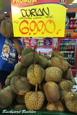 �h���A��