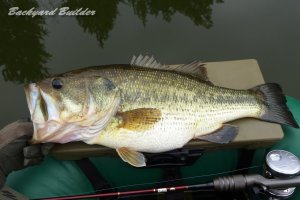 �ǁ[��A53cm 2200g�I