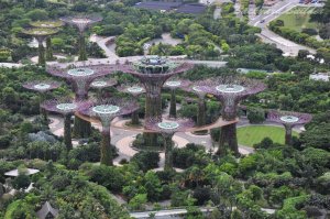 �V���K�|�[��