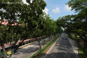 ���T�n���Ă�������