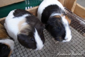 �������b�g