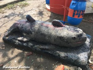 �C���h�l�V�A�̂���