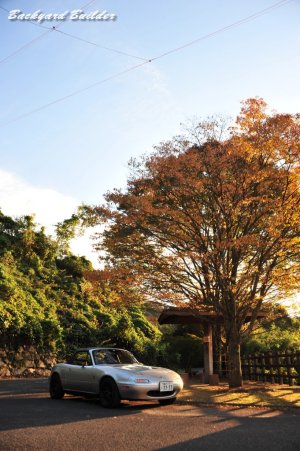 ���N�͍g�t������