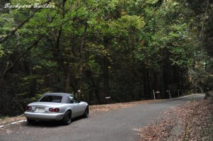 ���C���f�B���O