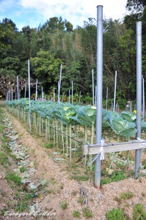 �L���x�c���ᖳ����ˁH(^^;