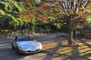 Roadster with �g�t