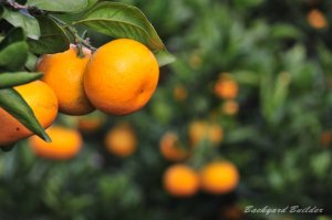 ���B�݂���