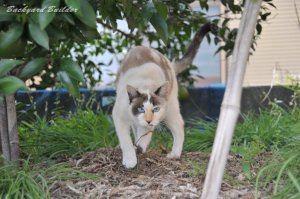 �����Ȃ��Ȃ��Ă��܂����������