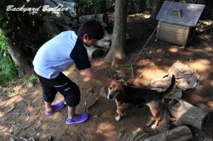 �L�����v�s���Ă�