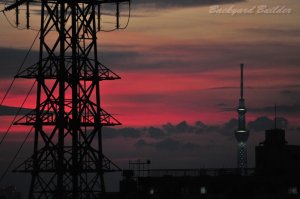 �X�J�C�c���[