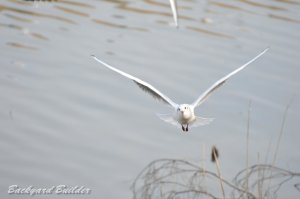 ��肩����