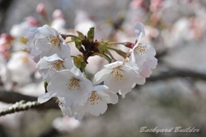 �ꑫ������...