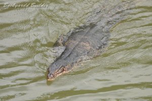 �~�Y�I�I�g�J�Q