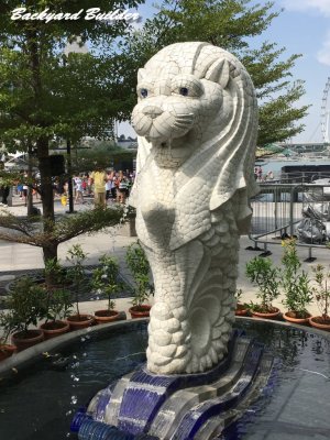 �̎B�����ʐ^