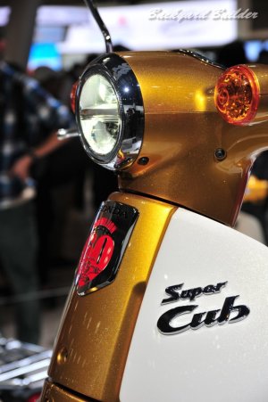 �X�[�p�[�J�u