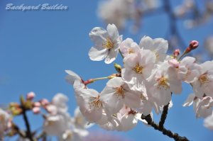 �\���C���V�m