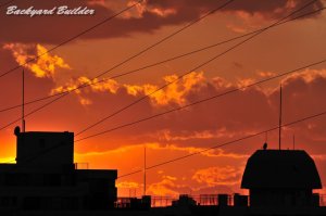 �}���V�����̑�����̌i�F