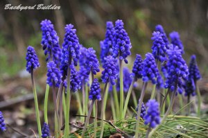 �Ȃ�Ė��O�������H�H�H