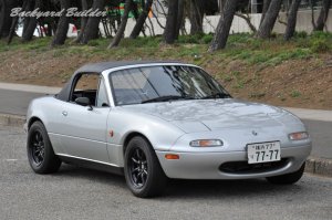 ������肽��