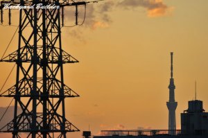 �����X�J�C�c���[