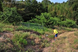 �����ł߂ł���12��