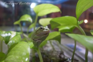 ���ւ邭��