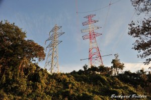 �S���G��