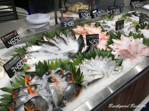 �V�[�t�[�h