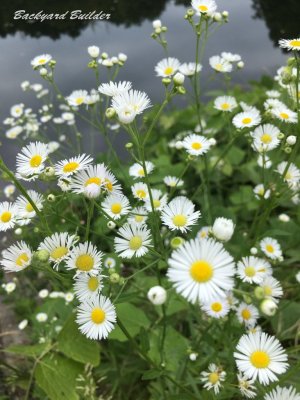 �q���W�H���������H