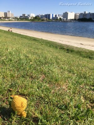 �C�𒭂߂�N�}����