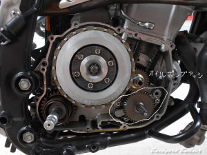 KLX250 �I�C���|���v�A�b�V