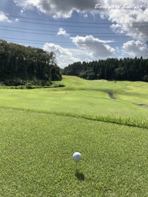 �S���t��