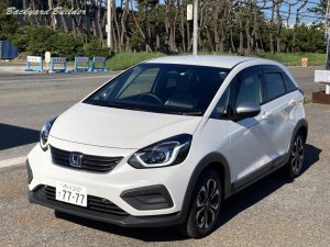 �N���X�^�[