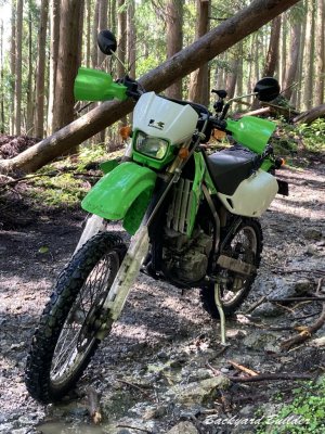 �ѓ��c�[�����O