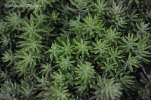 �Ȃ�ĐA���H