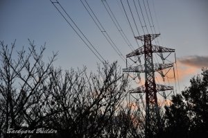 �S���G���`