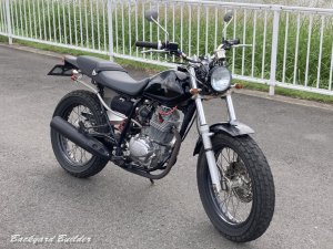 �V���O���G���W��