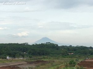 �y�}�����x�m�H