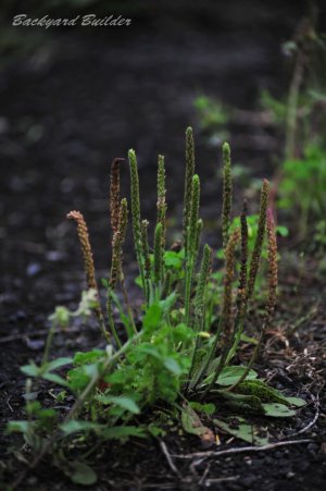 �����΂�