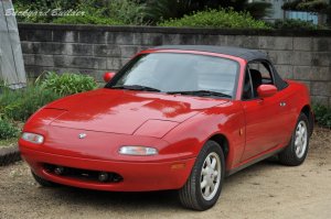 �ԍ��̏����A���~