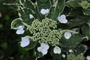 ���������H