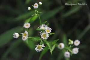 �q���W����