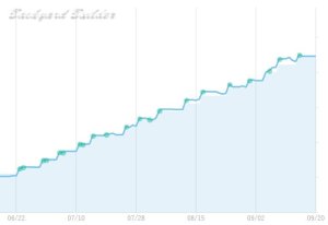 �E�F���X�i�r