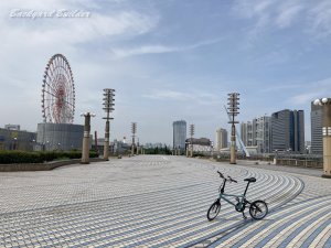 �݂肵���̊ϗ���