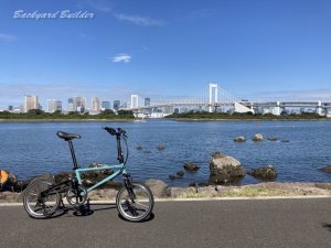 ��F��IVE�ƃ��C���{�[�u���b�W